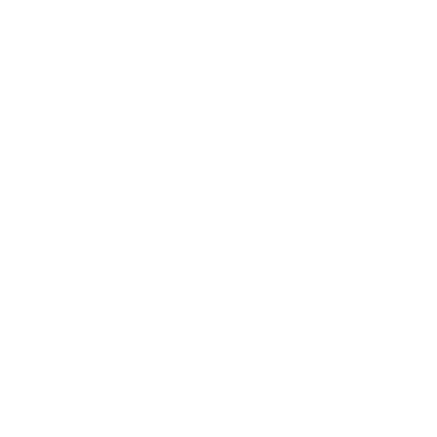 EchoMK1