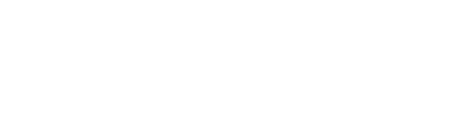 EchoMK1